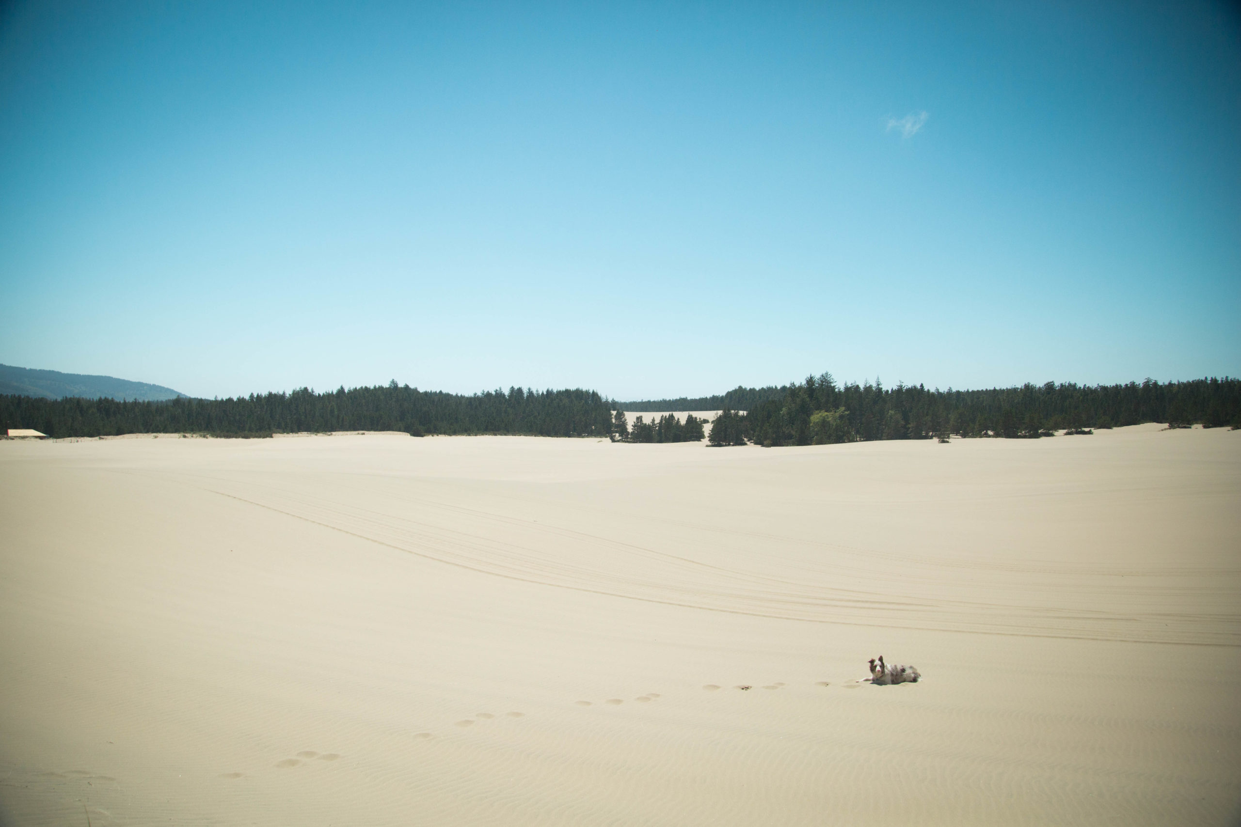 Found some dunes! 