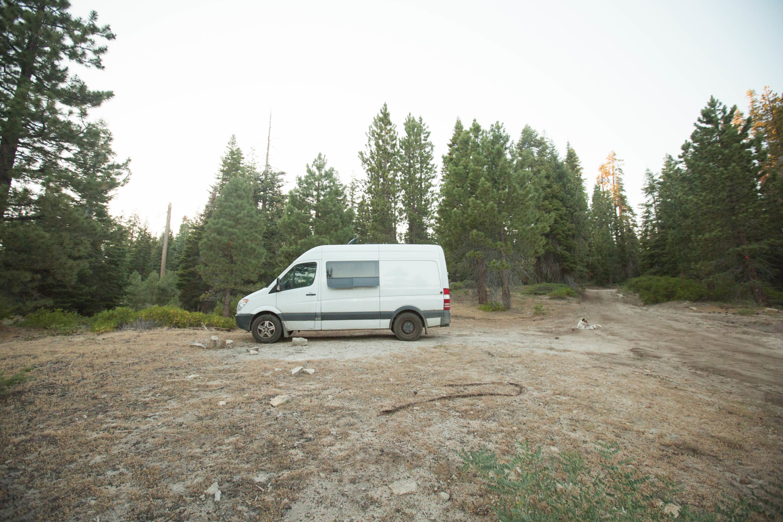 Secluded roads throughout Sequoia National Forest